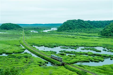根室本線（花咲線）別寒辺牛湿原と花咲線　写真提供：根室市